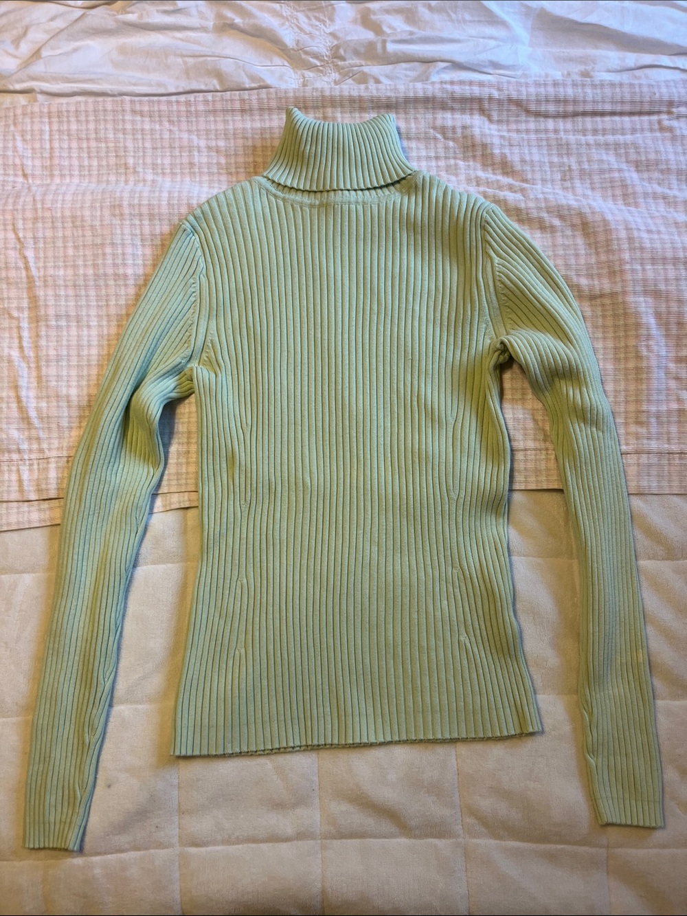 Ribbed Turtleneck Sweater in Light Green